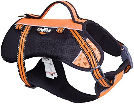 DOGHELİOS Freestyle 3'ü 1 arada Explorer Sportif Moda Dönüştürülebilir Evcil Köpek Sırt Çantası, Koşum Takımı ve Tasma, Büyük,