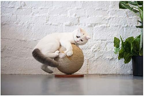 ZYXRGS Dönen Küre kedi tırmığı Sonrası Kedi Atlama Oyuncak Tırmalama Ahşap Tırmanma Ağacı Kedi Tırmanma Çerçeve Kedi Pet Mobilya